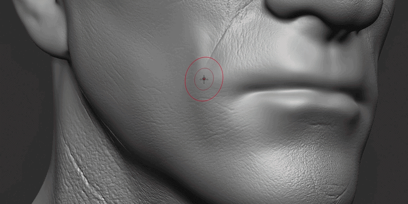 Skin sculpting brush face-area label preview for forehead, eyelids, eye bags, lips and chin