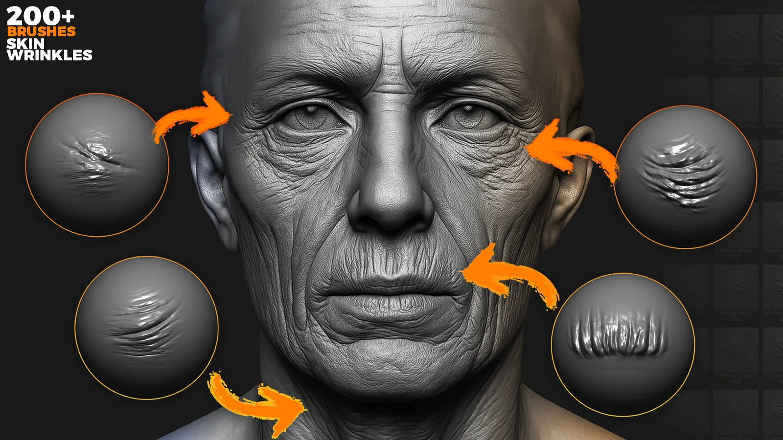 200+ Skin Wrinkles Sculpting Brushes For Blender & Zbrush preview