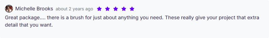 Customer review for the 3000 plus sculpting brushes bundle