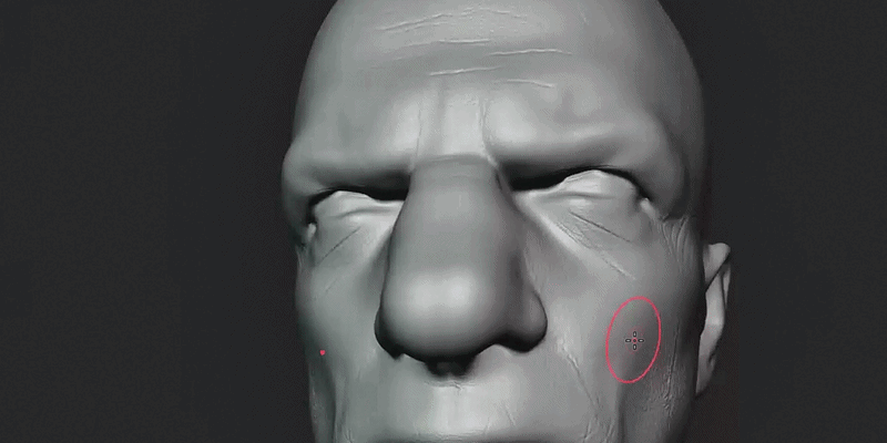 Skin and face sculpting brush preview