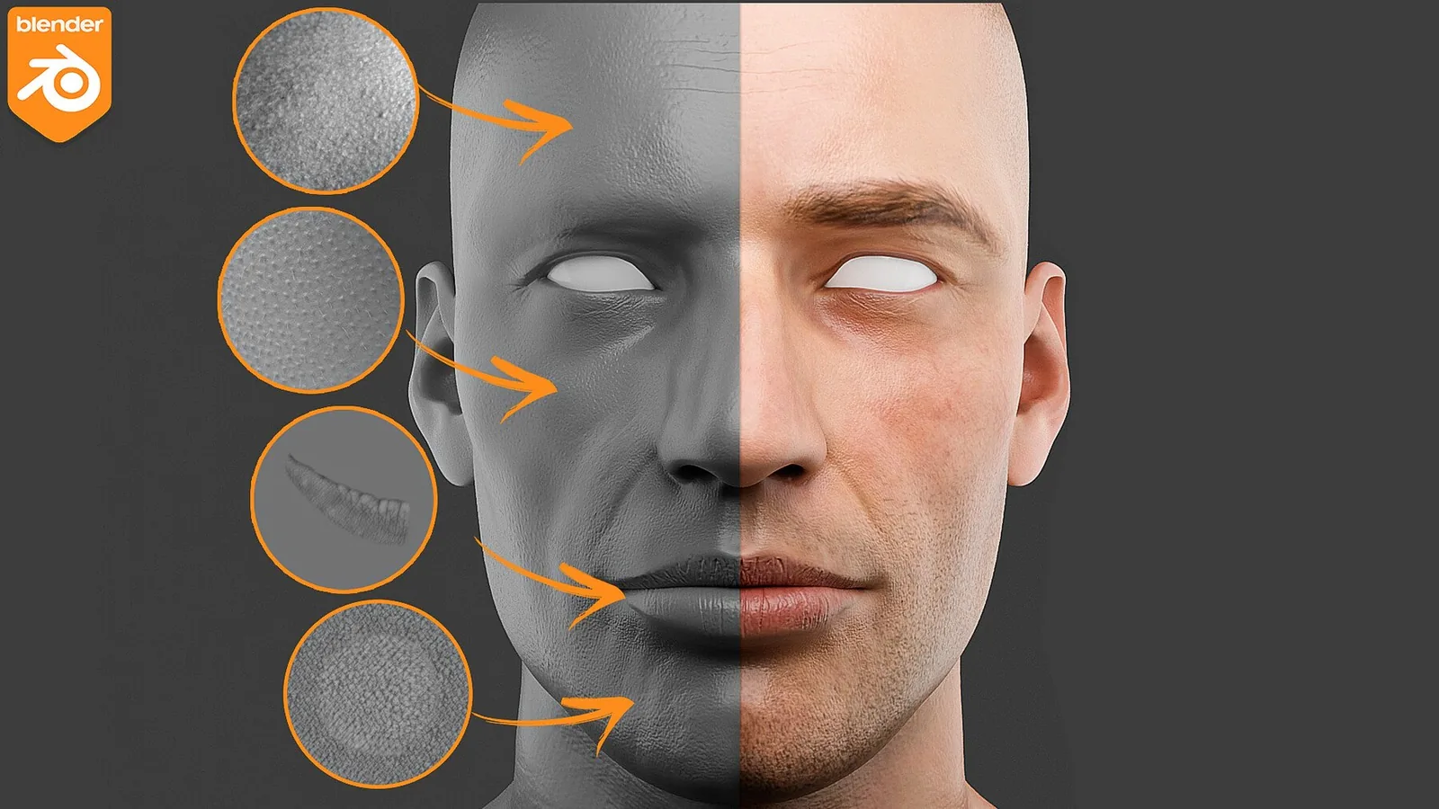 Blender Human Skin Brushes. Product update to Blender 4.3! preview 1