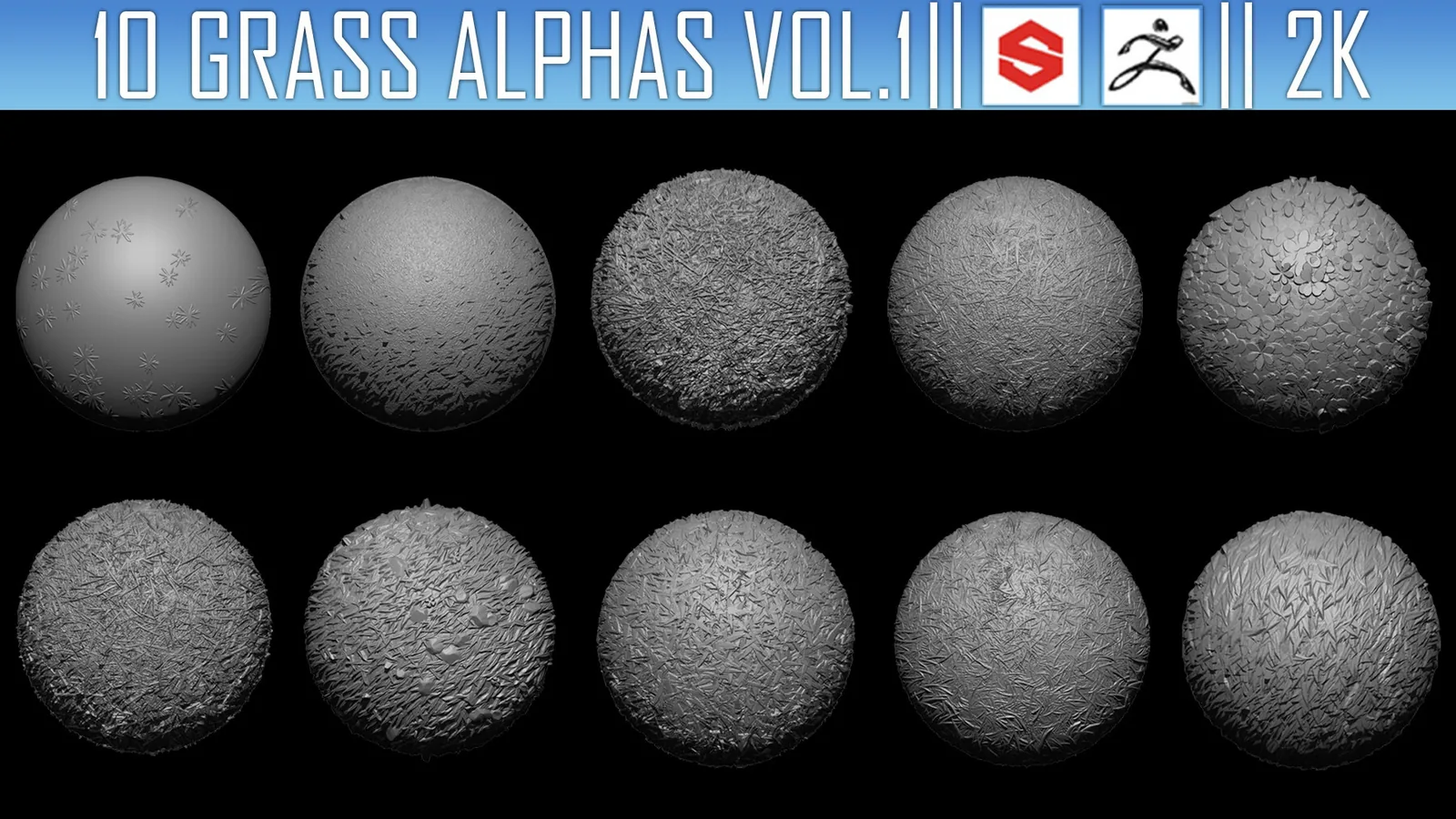10 Grass Alphas Vol.1 (ZBRush, Substance, 2K) preview 1