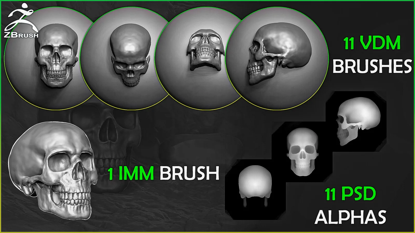Skull Brushes and Alphas for ZBrush (IMM & VDM) preview 1