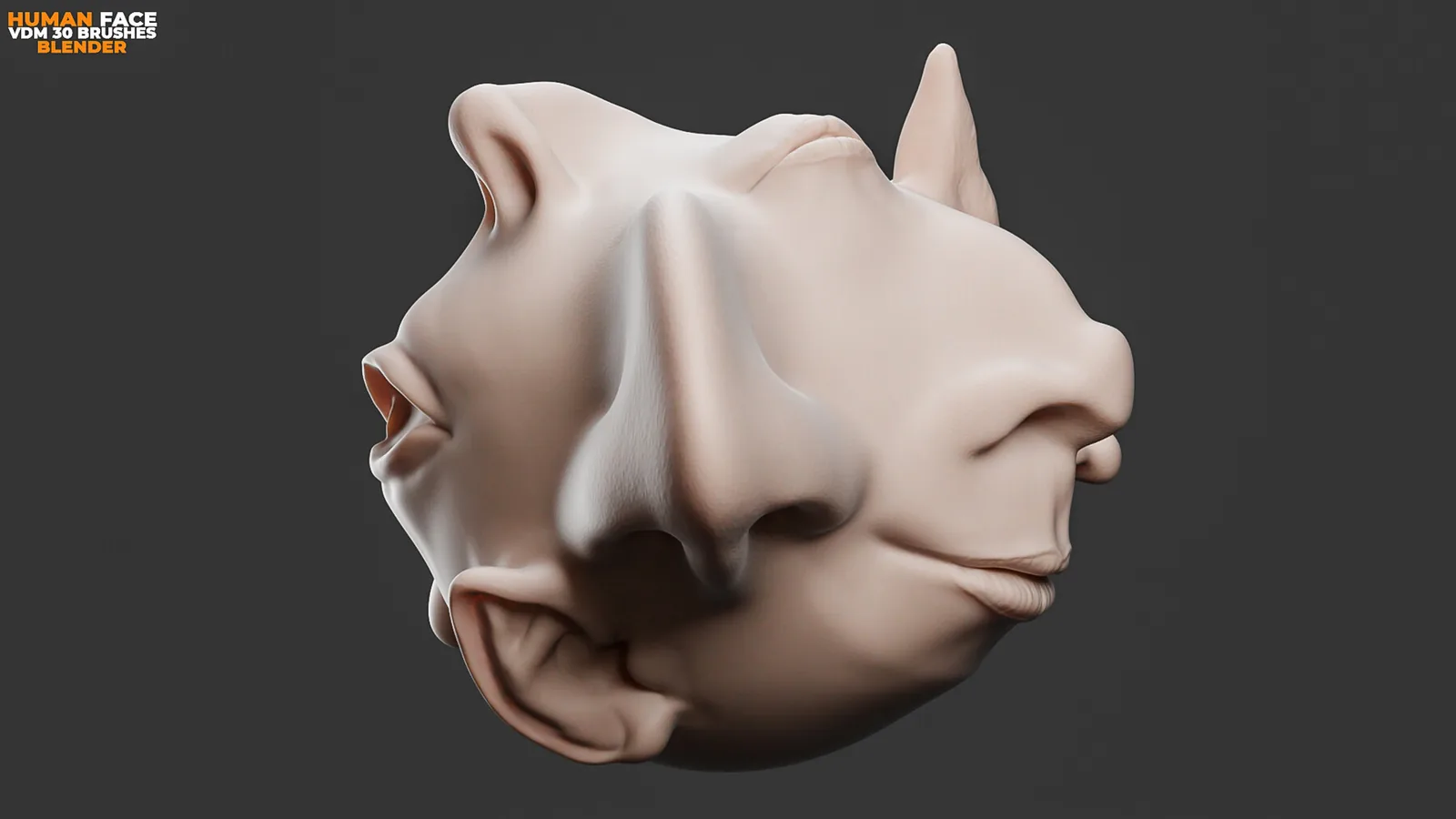 Human Face Vdm Brushes For Blender. Asset Browser. preview 1