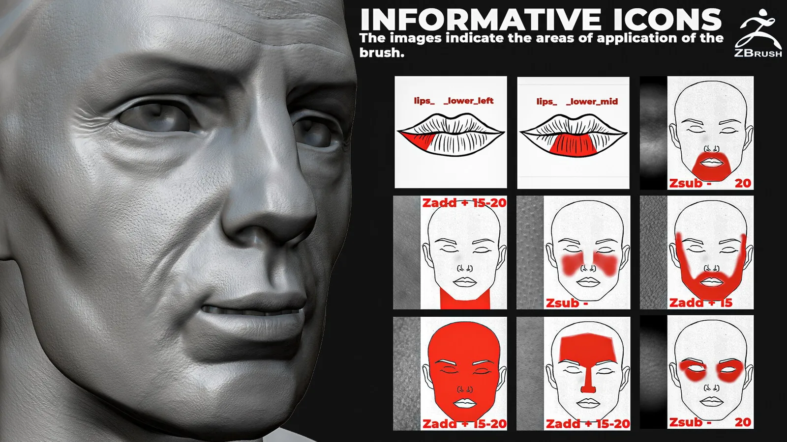 Human Skin Brushes for ZBrush (57 VDM) preview 3