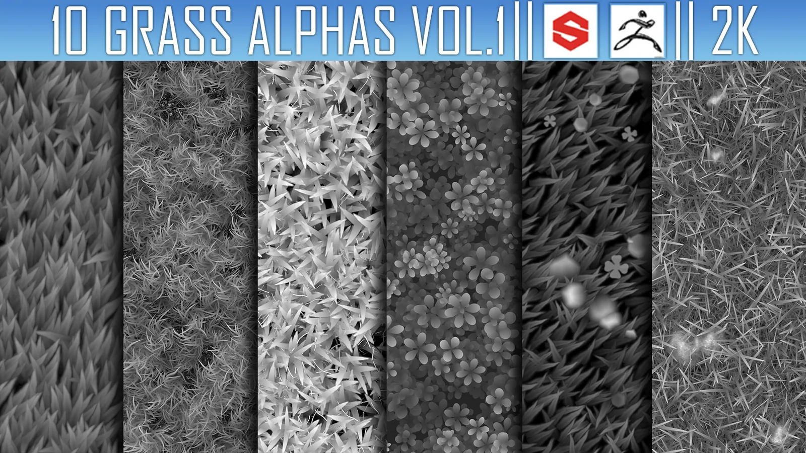 10 Grass Alphas Vol.1 (ZBRush, Substance, 2K) preview 2