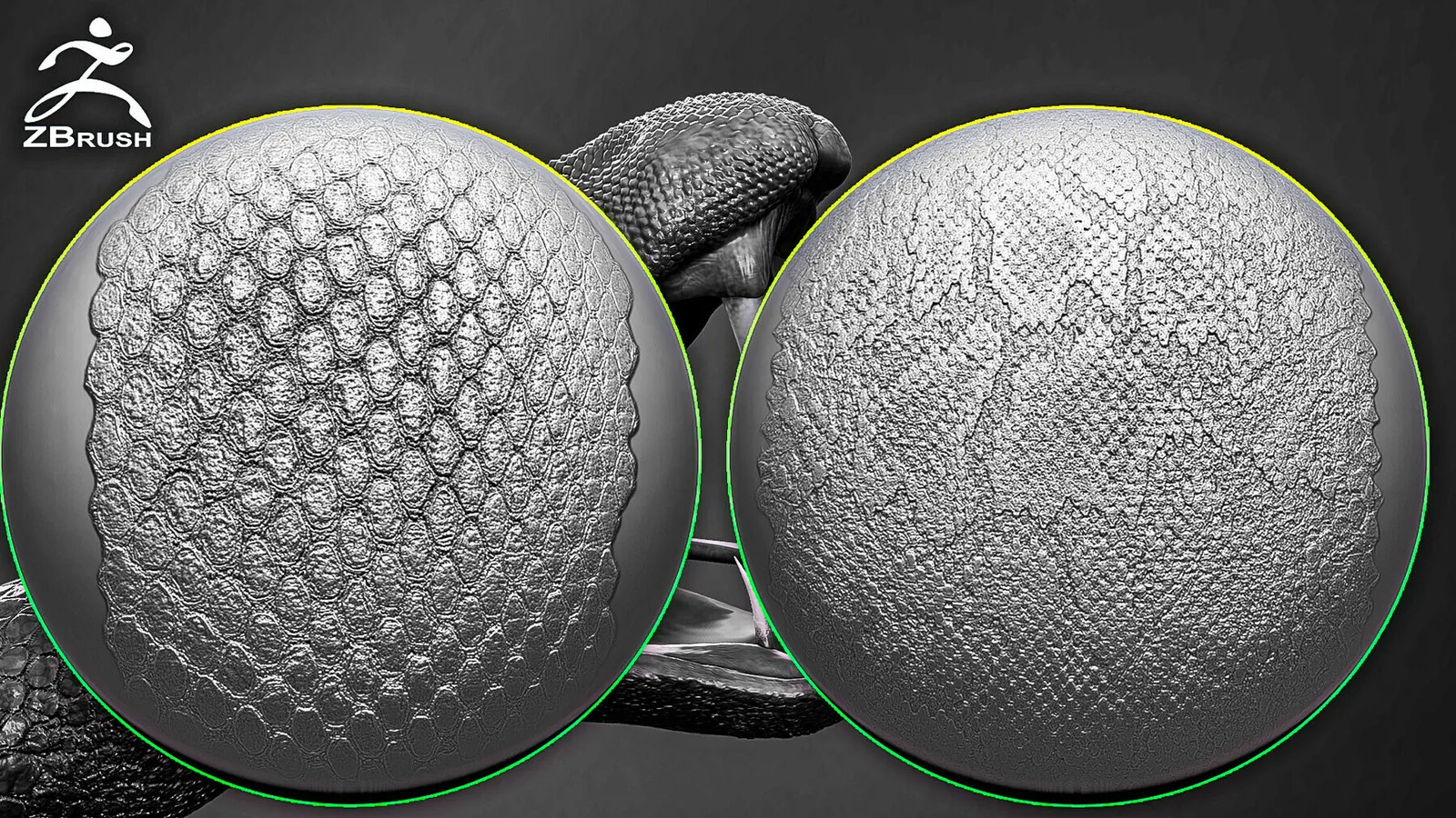 Reptile Skin Alphas for ZBrush preview 2