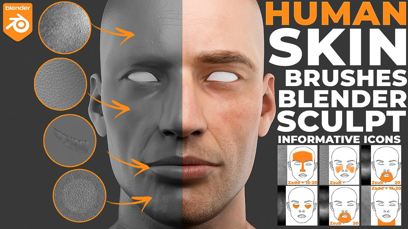Blender Human Skin Brushes. Product update to Blender 4.3!