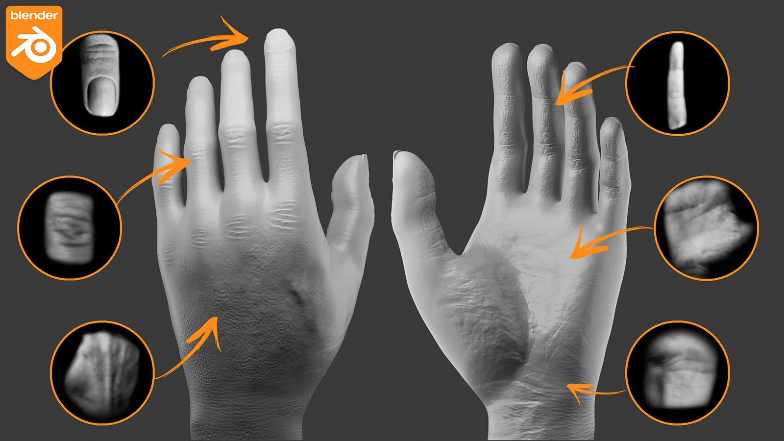 Blender Human Skin Brushes. Product update to Blender 4.3! preview 3