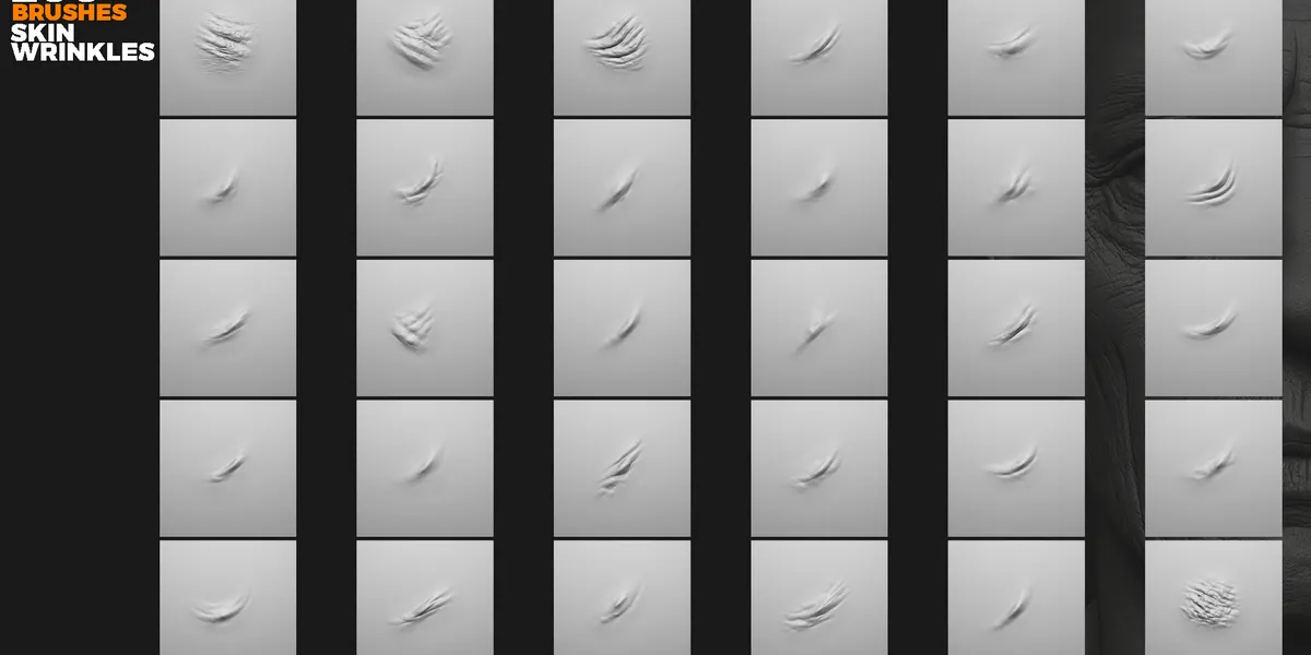 Skin wrinkles sculpting brushes preview 5
